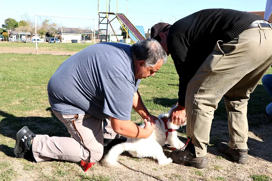Vacunaron a 100 mascotas en barrio de San Cayetano