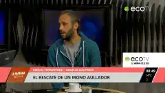 El rescate de un mono aullador