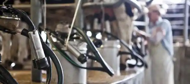 Por primera vez establecieron parámetros sobre la Leche de Referencia