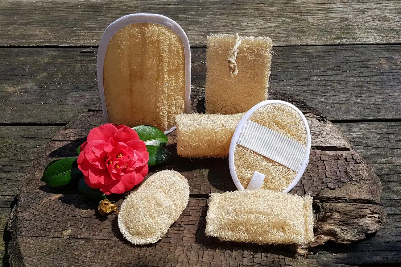 Ducharse con esponjas vegetales, tres aspectos que deben tenerse en cuenta