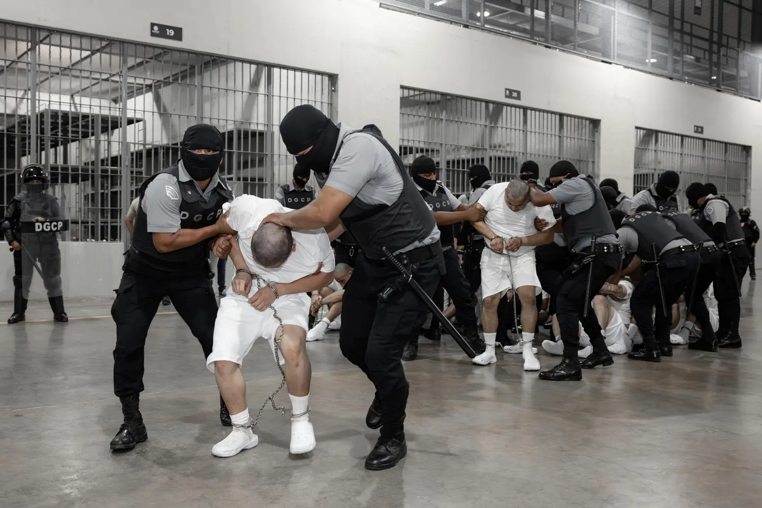 DATAVIVA: 87% de los venezolanos rechaza deportaciones de migrantes a El Salvador (+Encuesta)