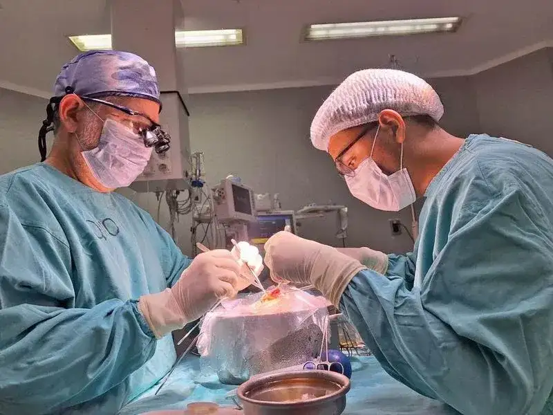 Una nueva esperanza: otro trasplante 
hepático se realizó con éxito en el HAC