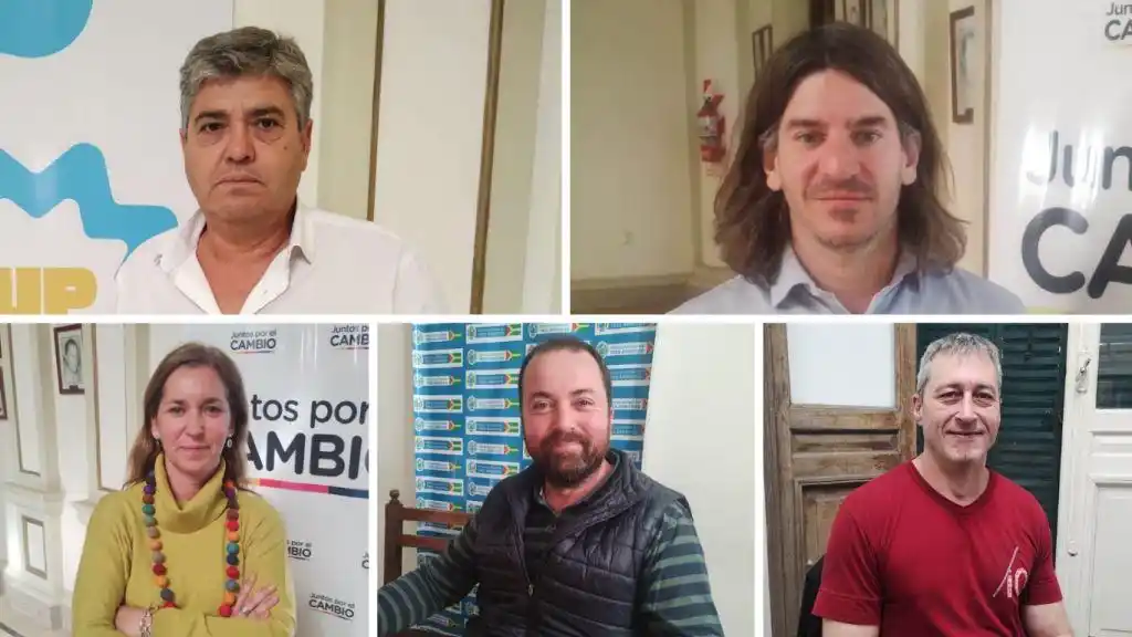 Posible eliminación de las PASO: la opinión de concejales