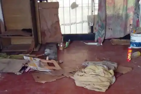 Así comenzó la ocupación permanente de al menos dos personas que fueron divisadas por los vecinos.