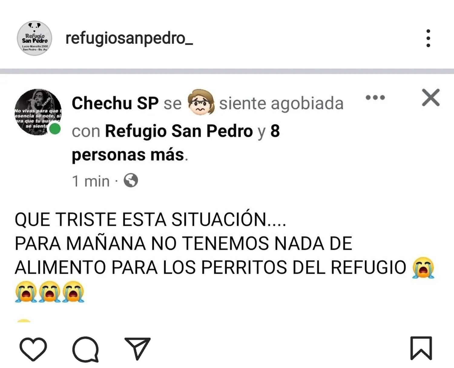 Refugio San Pedro necesita alimento para los perritos que amparan