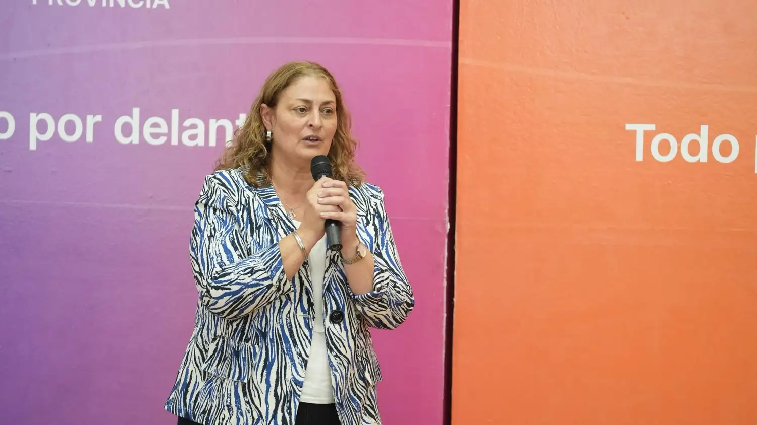 Pullaro impulsa una inversión de casi $ 10.000 millones para sumar 88 ambulancias y fortalecer el sistema de salud pública - 1