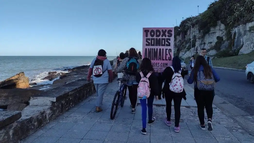 También desde las 19:00 se proyectarán videos que muestran el detrás de la industria de la carne y otras formas de explotación animal.