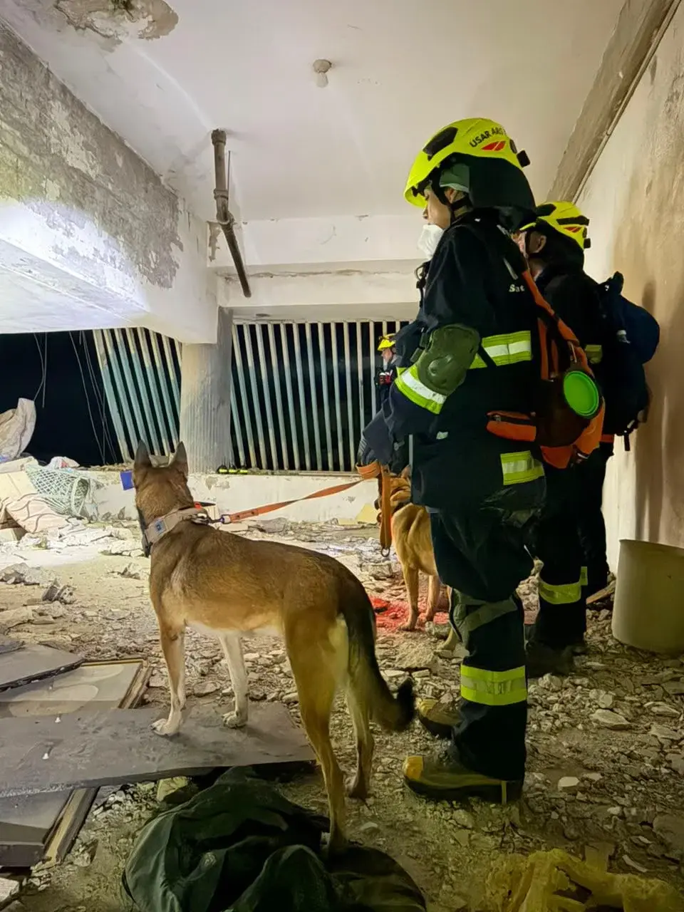 Brigada santafesina en Venezuela: escáneres, sensores y perros en la primera búsqueda en zona de desastre