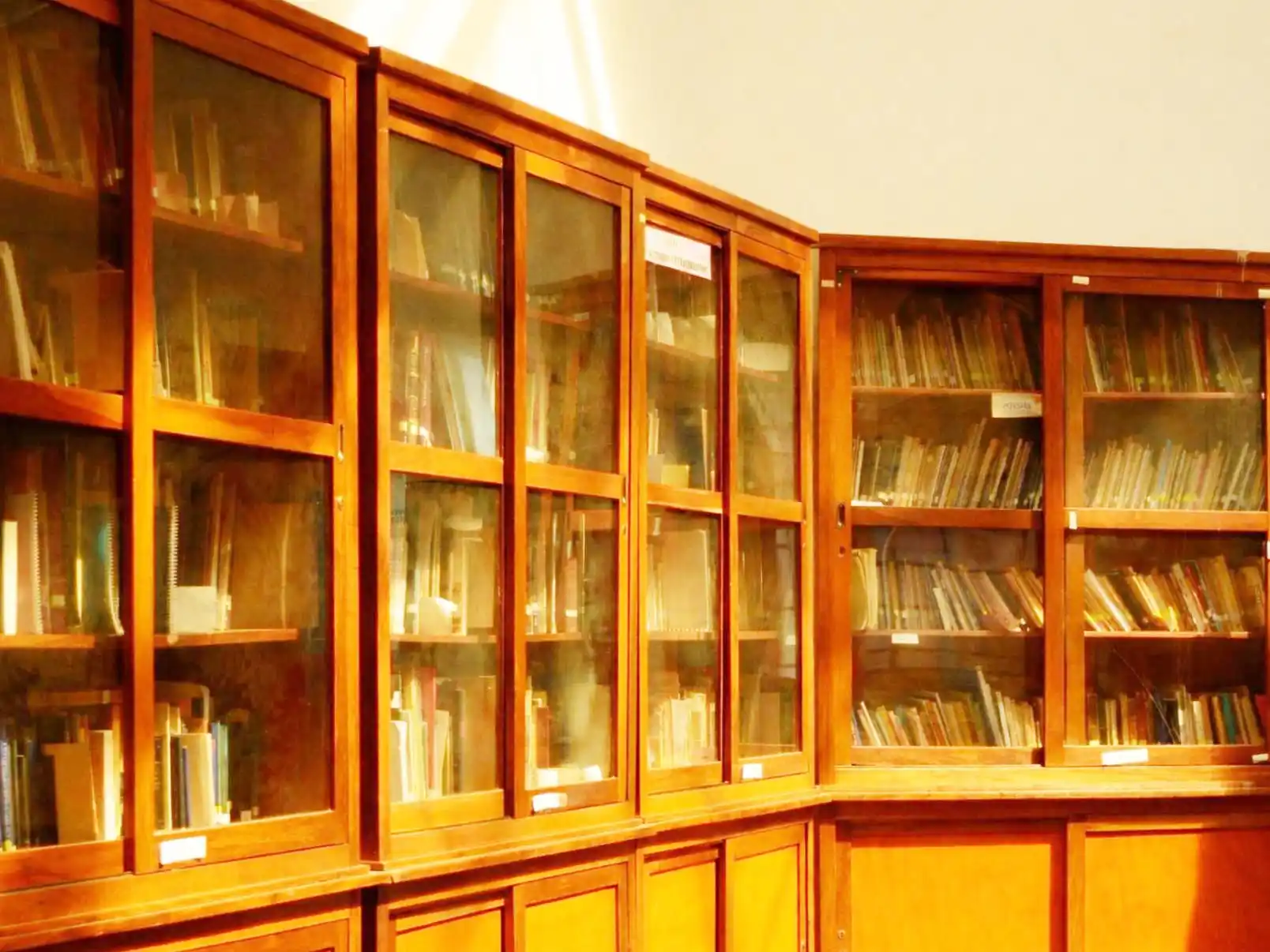 La Biblioteca Provincial destaca avances en la identificación de autores entrerrianos en el catálogo nacional