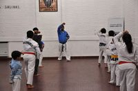 Taekwondo en Ferro