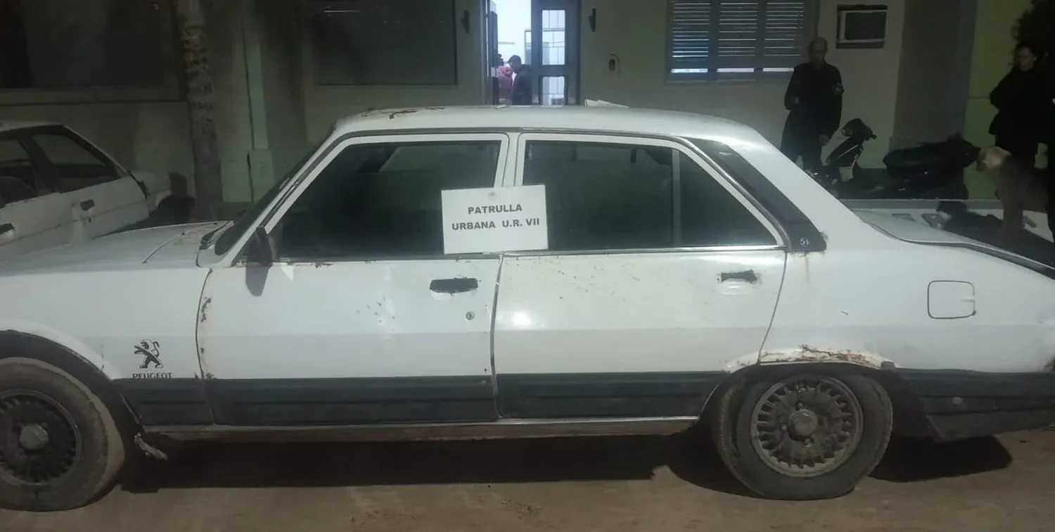 Llevaban 8 terneros vivos en el baúl de un Peugeot 504, fueron detenidos en Cayastá