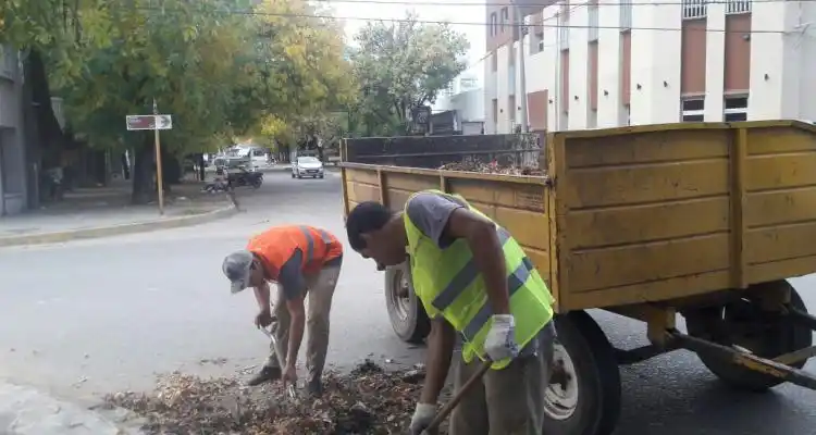 Ante las quejas por el recorte de Ashira, municipales barren las hojas en la calle