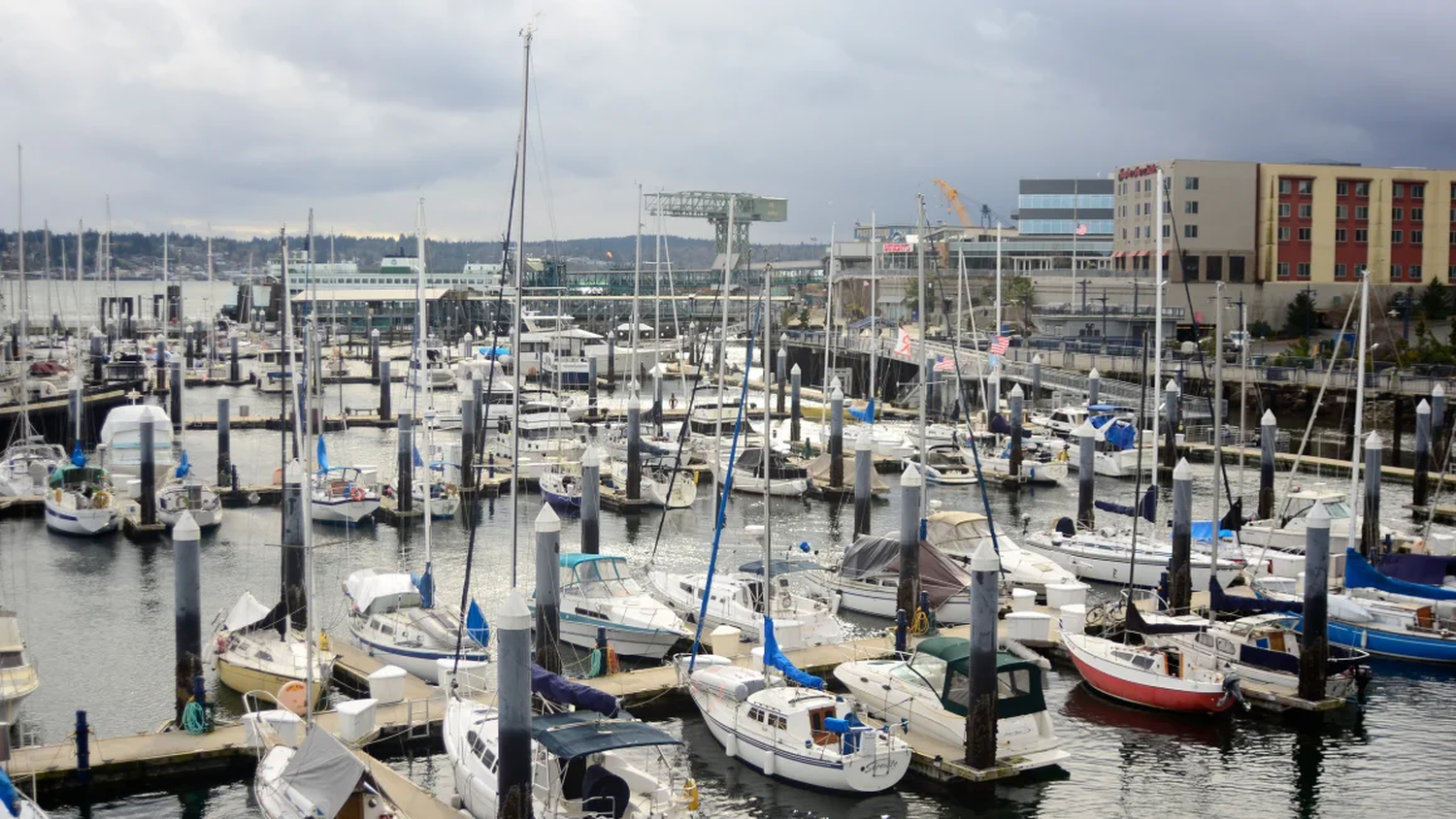 A river otter attacked a family at Bremerton Marina in Kitsap County, Washington, on Thursday.