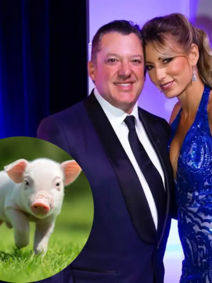Tony Stewart, en problemas con su esposa por dormir con su cerdo