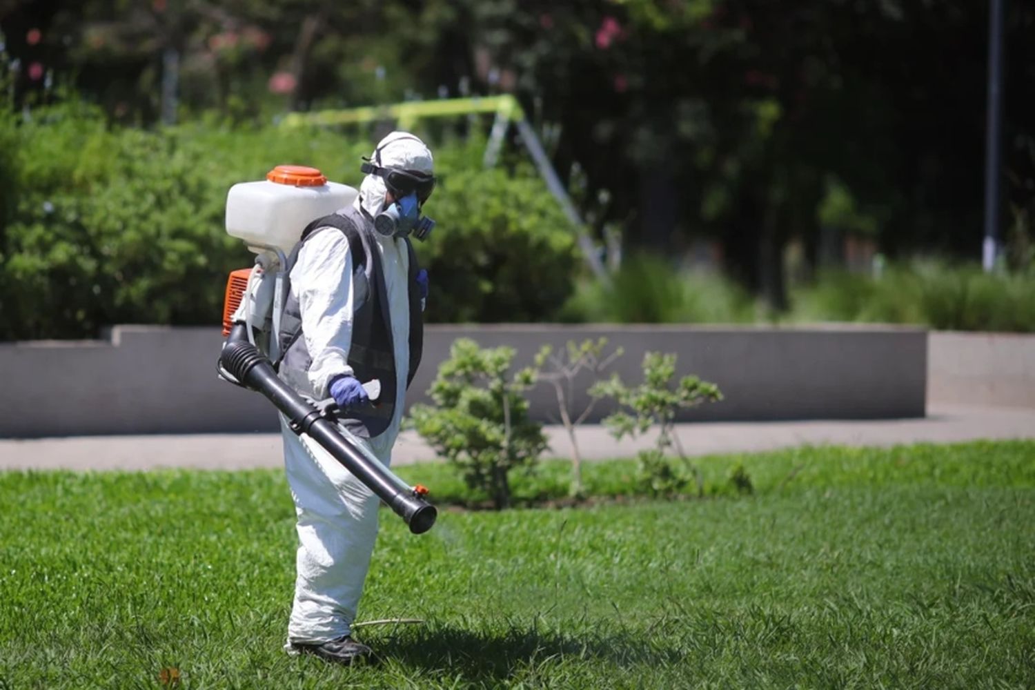 Para el Gobierno, la invasión de mosquitos es responsabilidad de la administración de Alberto Fernández