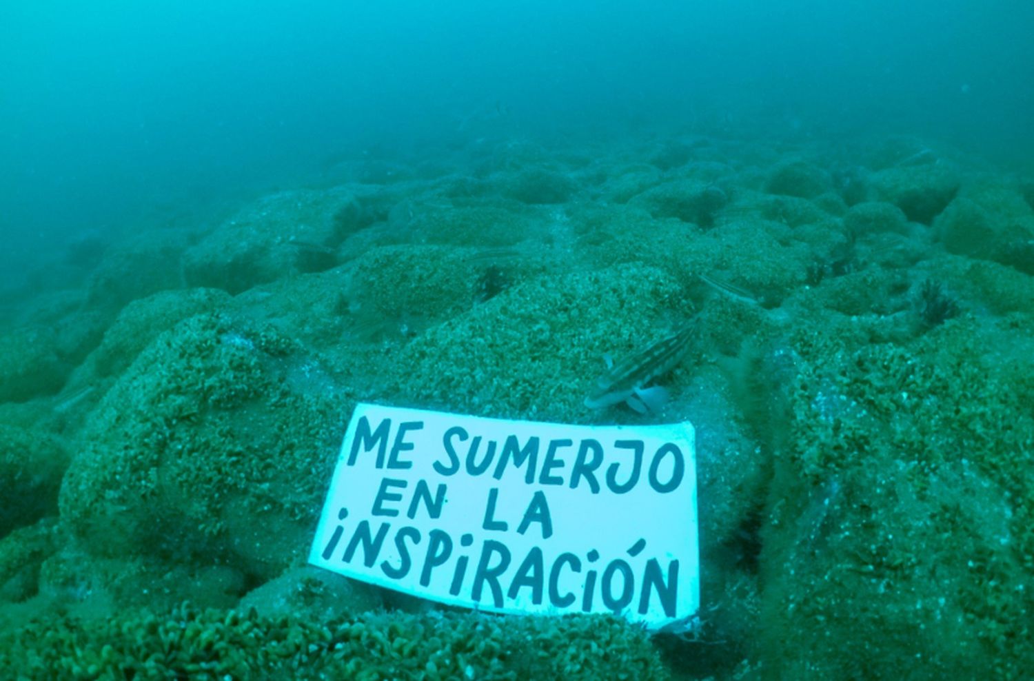 Un mar de cambios, la propuesta que une la ciencia y el arte urbano para concientizar sobre la importancia de los océanos