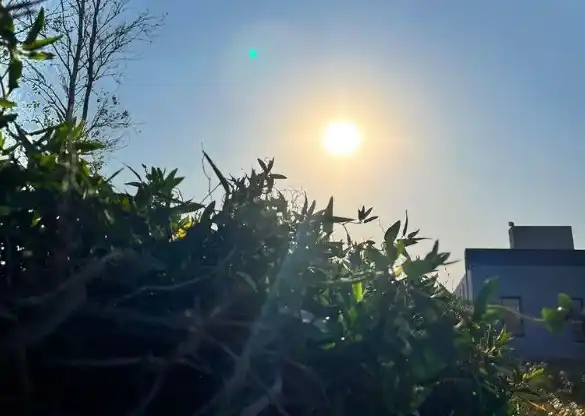 Mañana soleada en San Francisco.