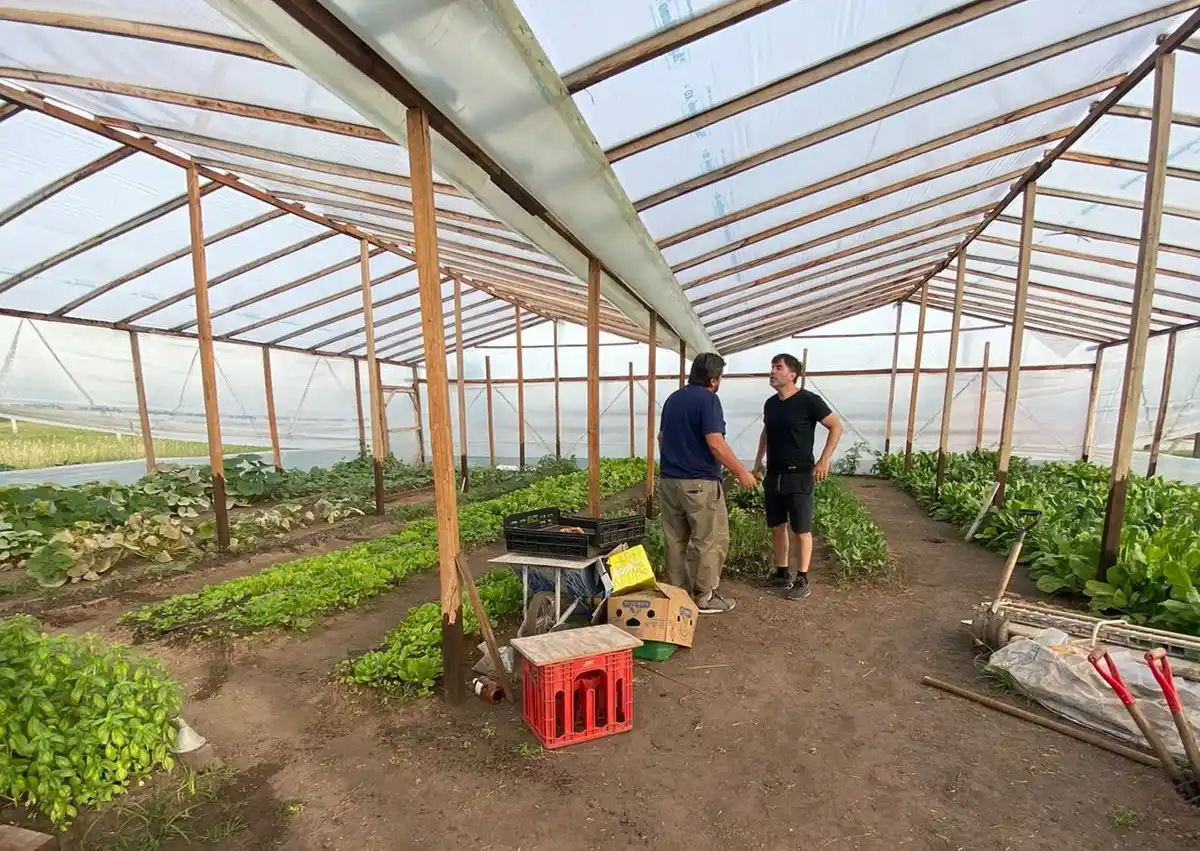 El municipio de Castelli busca producir verdura orgánica y barata para toda la ciudad