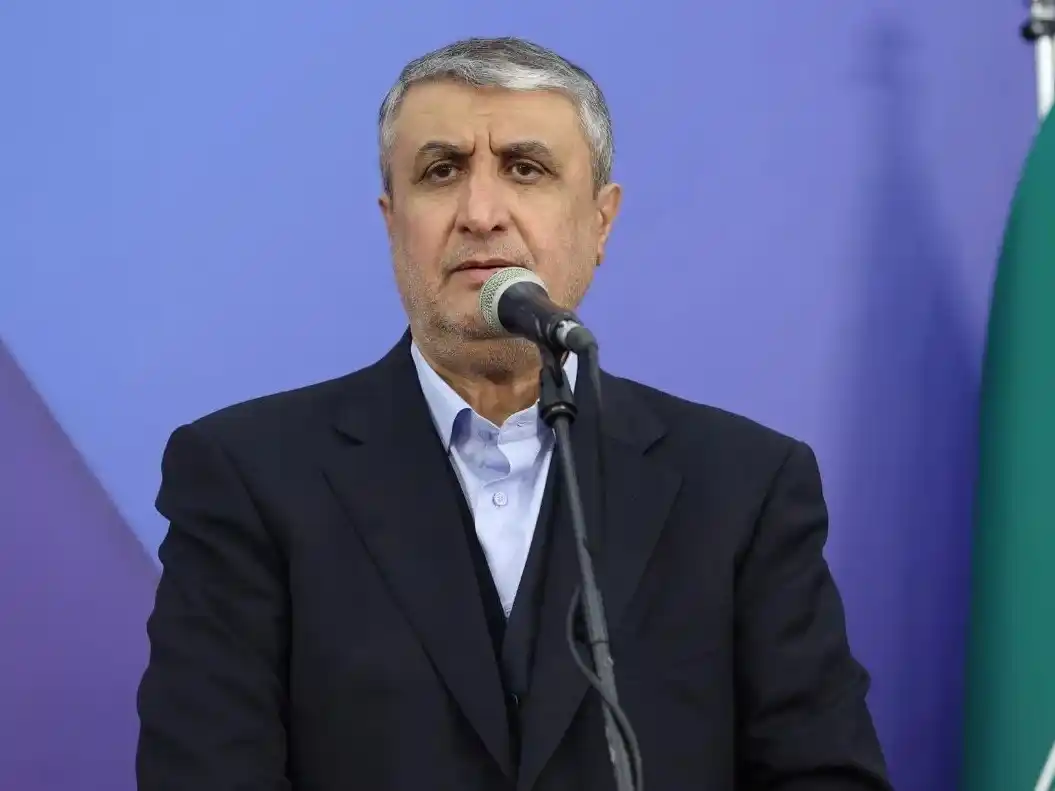 Mohammad Eslami, presidente de la Organización de Energía Atómica de Irán.