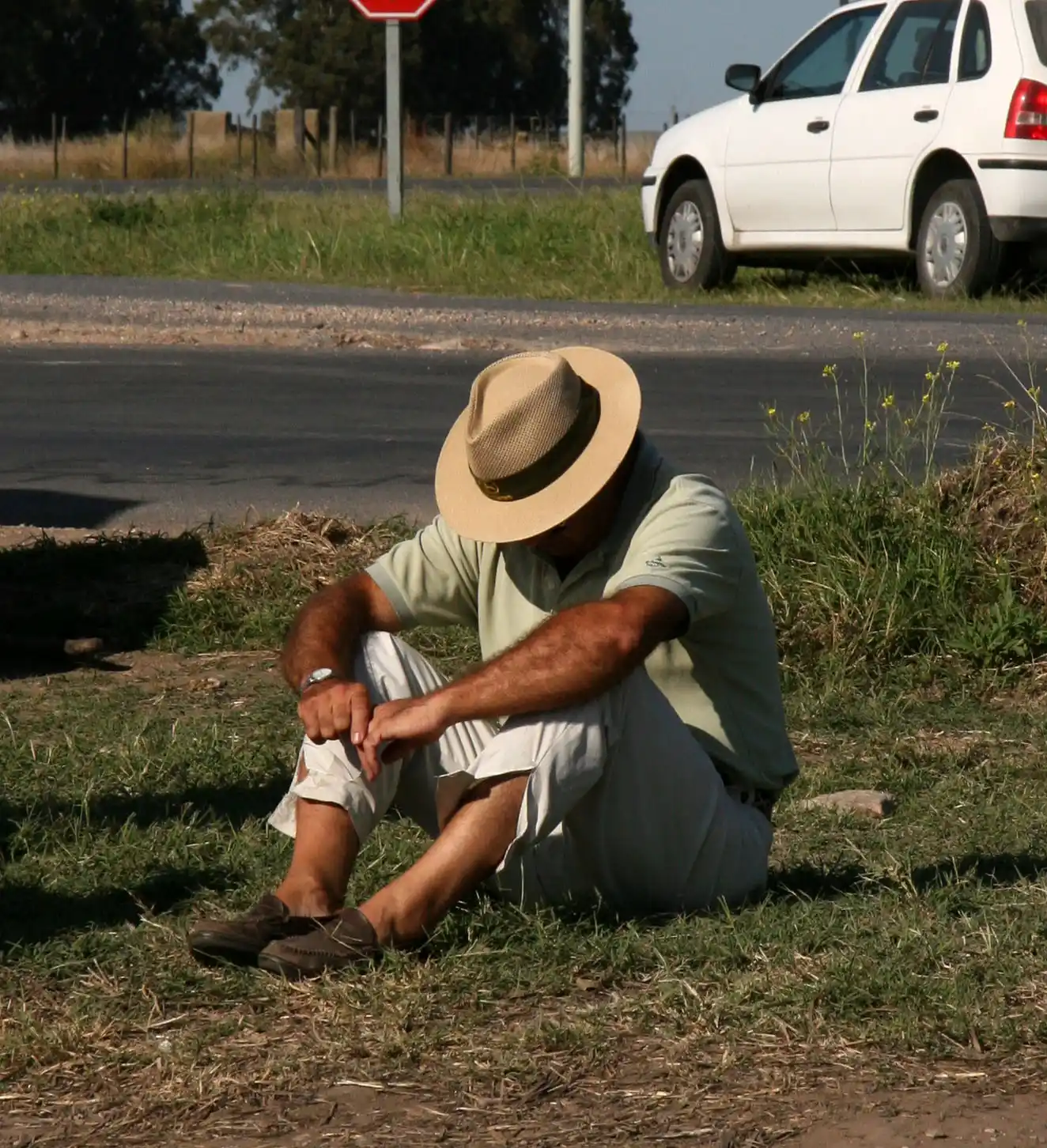 Los productores no tienen rentabilidad ni confianza