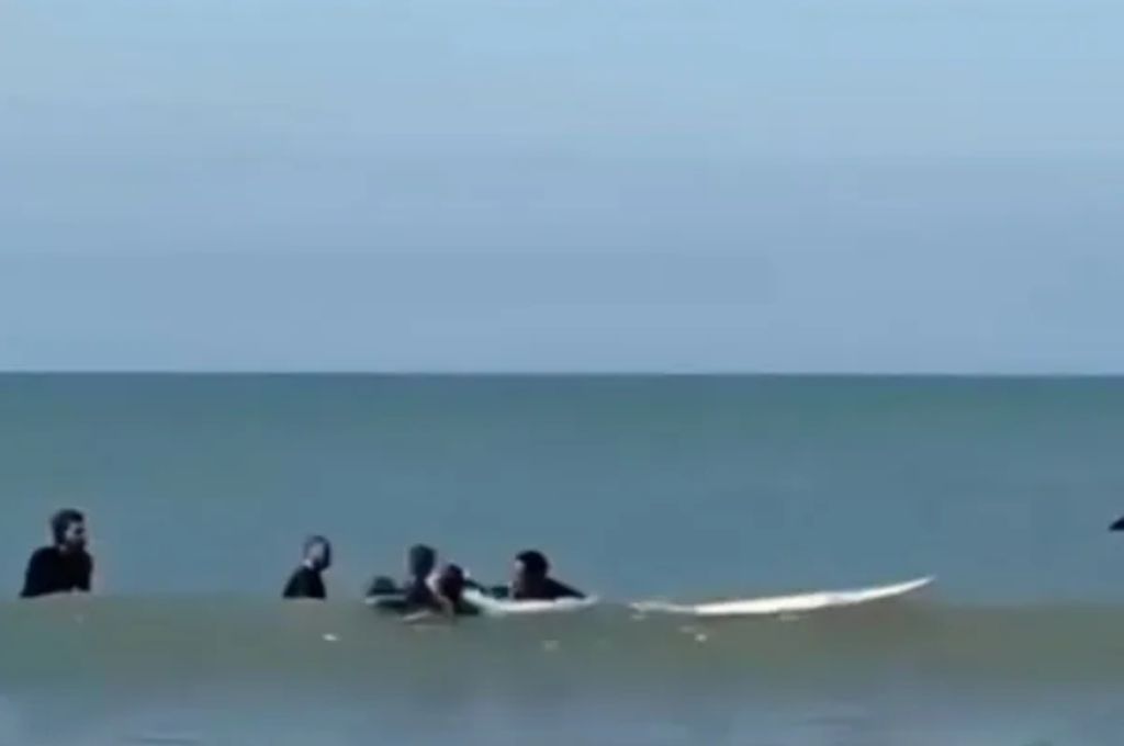 Surfista