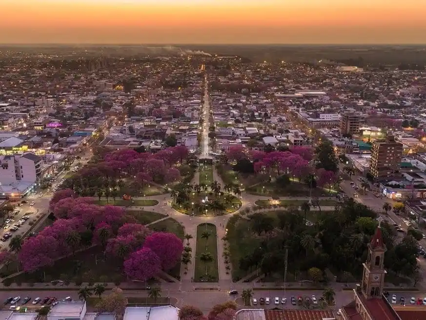 Propone plantar un millón de ejemplares en 10 años, con participación ciudadana y enfoque ambiental integral.