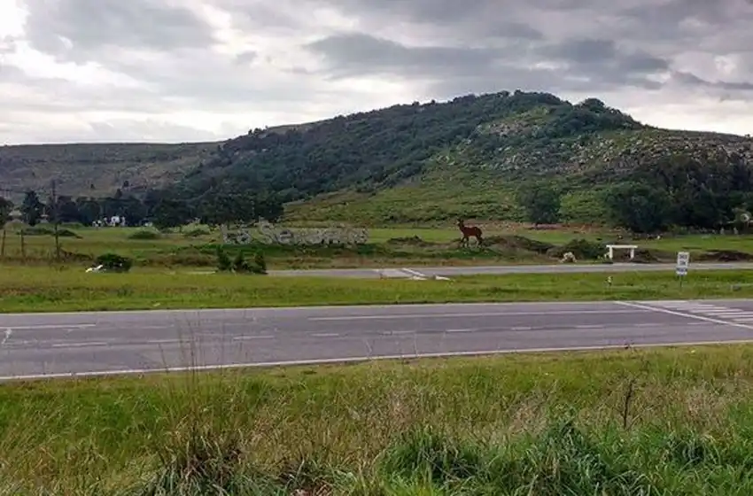 Bomberos rescataron a una pareja perdida en la zona de La Serranita