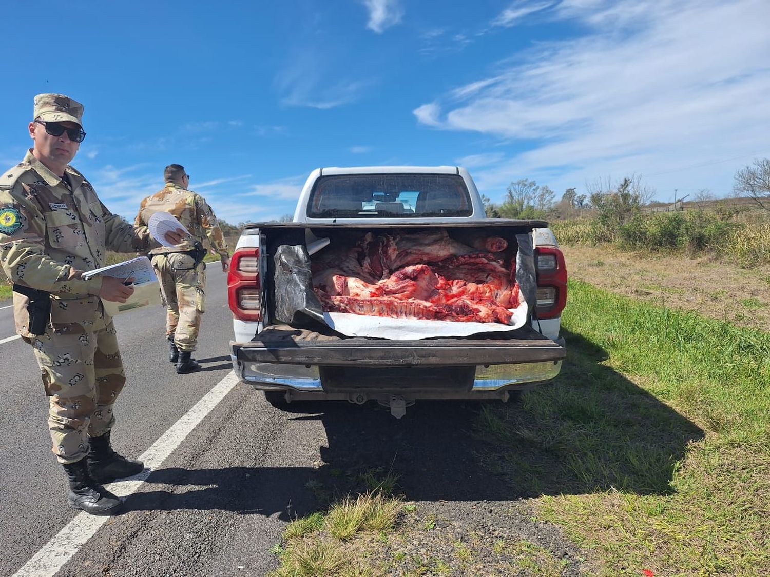 Dictaron 35 días de prisión preventiva para los dos cuatreros que carnearon 1.500 kilos de carne