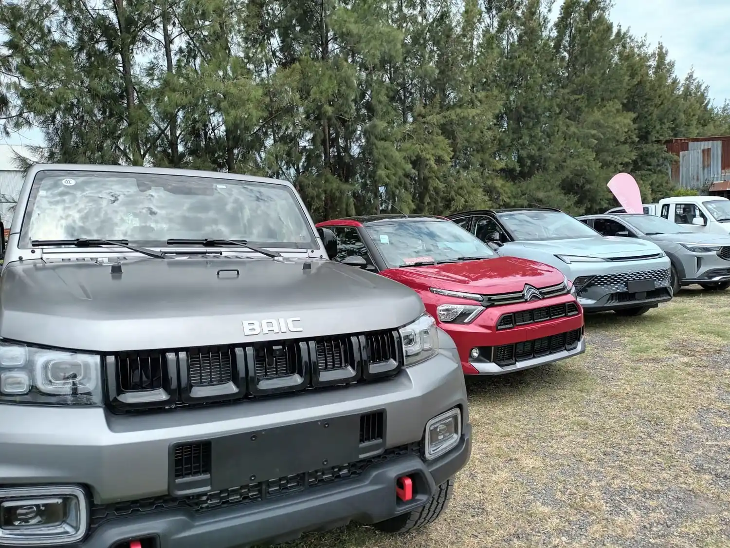 Gerli Movilidad cerró el año con la incorporación de una nueva marca y altas expectativas para el 2025