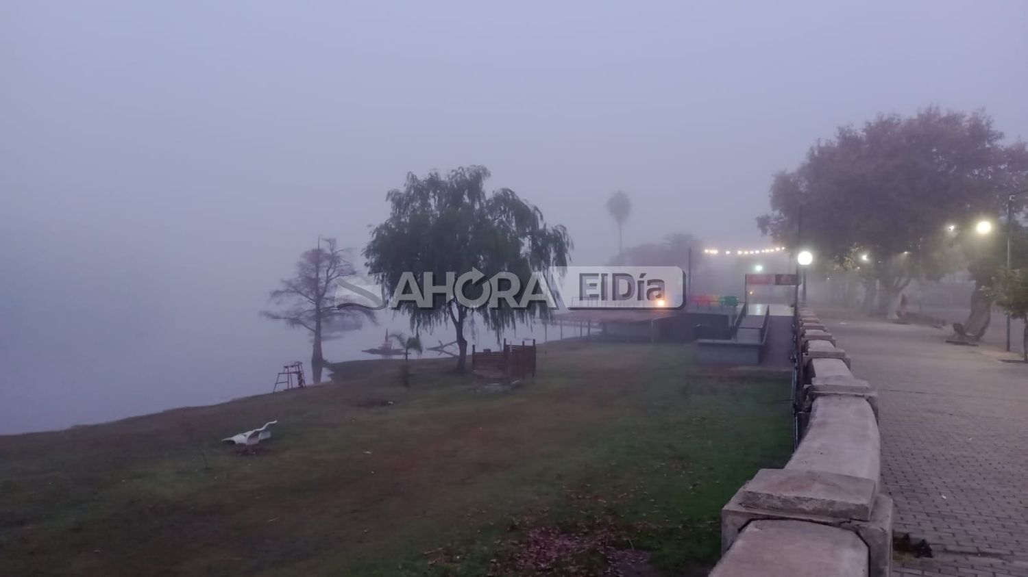 La ciudad amaneció con 1°C, neblina intensa y 100% de humedad