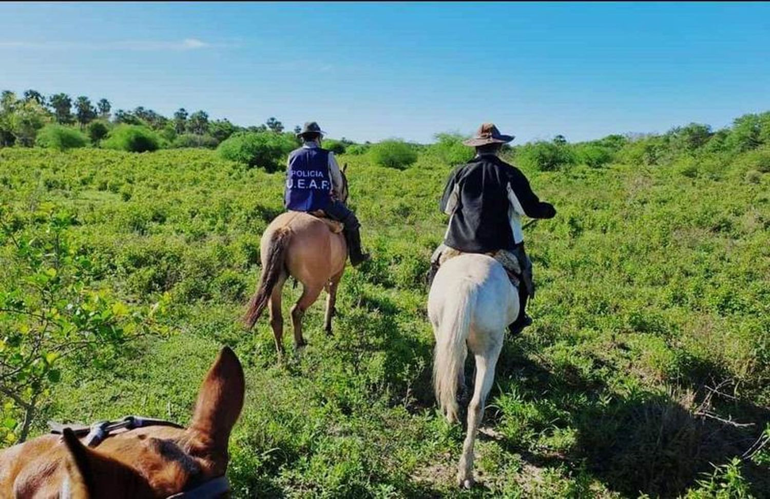 La UEAR intensificó operativos y patrullajes 
en zonas rurales para prevenir el abigeato