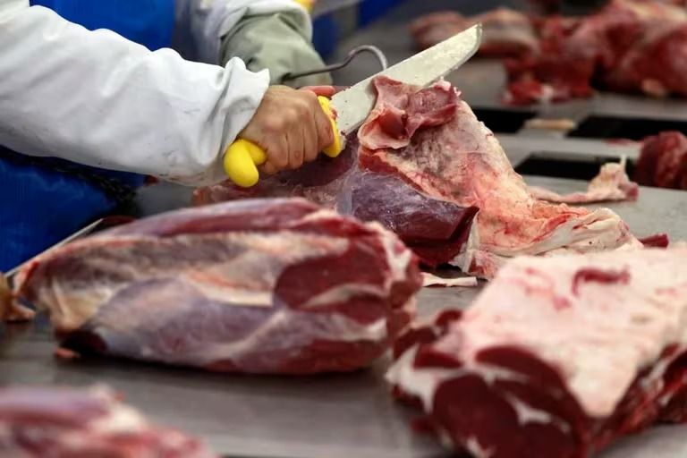 Carne vacuna: las exportaciones crecieron un 23% en agosto