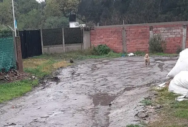El estado de las calles es otro de los problemas prioritarios del barrio.