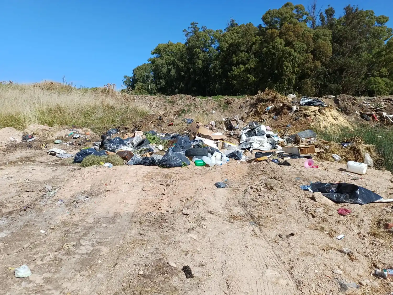 Basural denunciado - 1