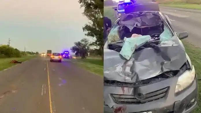 Un auto chocó contra un caballo y tres personas terminaron en el hospital