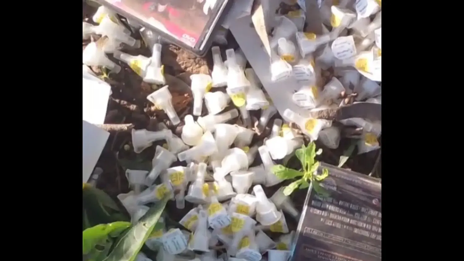 Denuncian la existencia de agujas y medicamentos en el predio de Papel Prensa