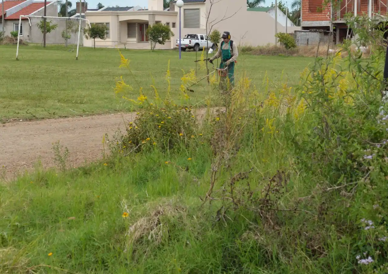 Comienzan a intimar a los propietarios de los terrenos con pastizales