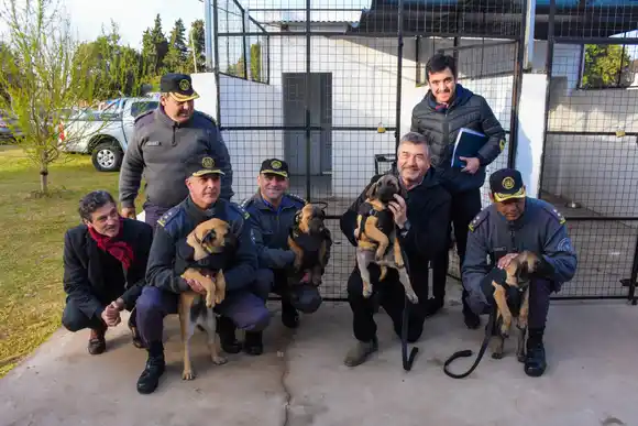 Presentaron cuatro cachorros que serán incorporados al Servicio Penitenciario