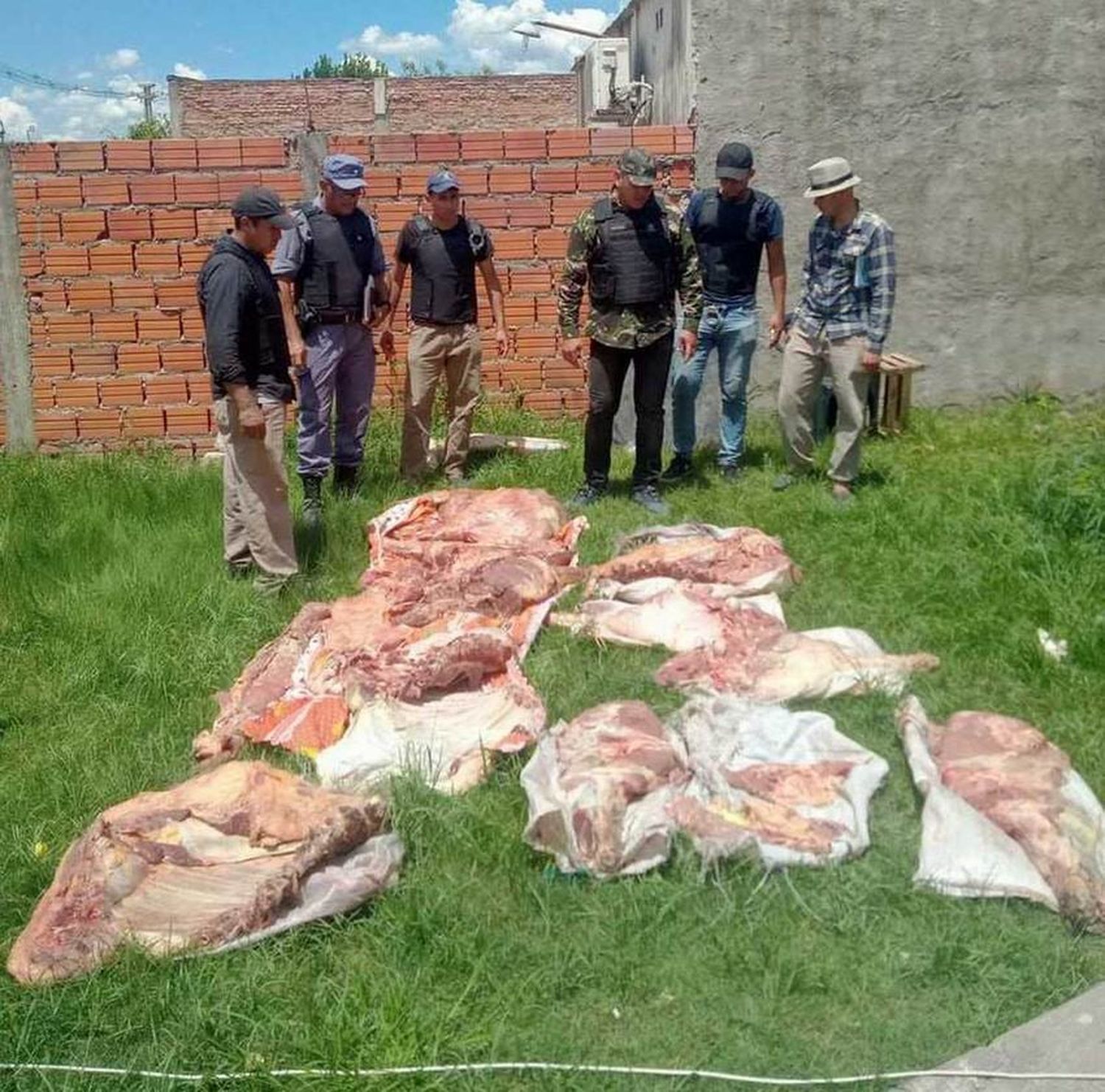 Secuestran un auto que llevaba 259 
kilos de carne, el conductor se fugó