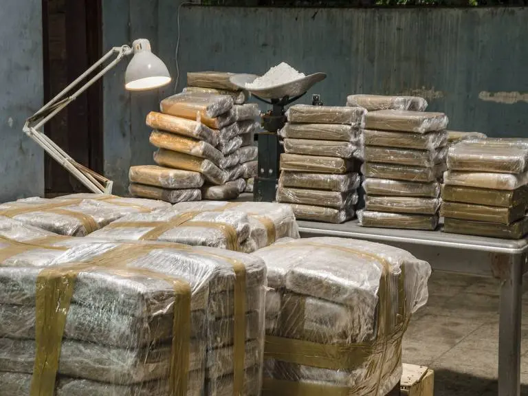 Desmantelan laboratorio donde producían cocaína