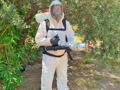 Una de las plagas más temidas: con aportes de la FAO, el SENASA refuerza el control de las langostas