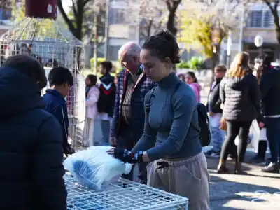 Compromiso ambiental: Jornada de Eco-canje y nuevas acciones sustentables en Crespo