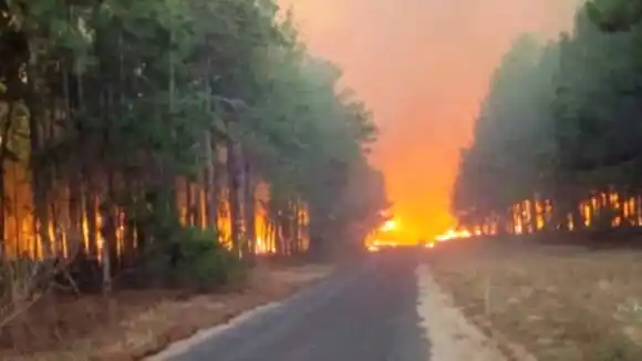 Desalojan a familias de poblaciones cercanas al bosque de Uverito de Monagas por los intensos incendios