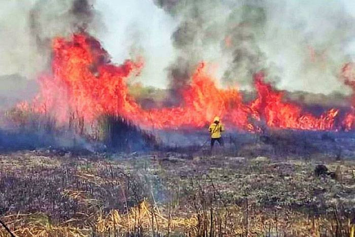 Fueron controlados focos de incendios en Federal y Concepción del Uruguay