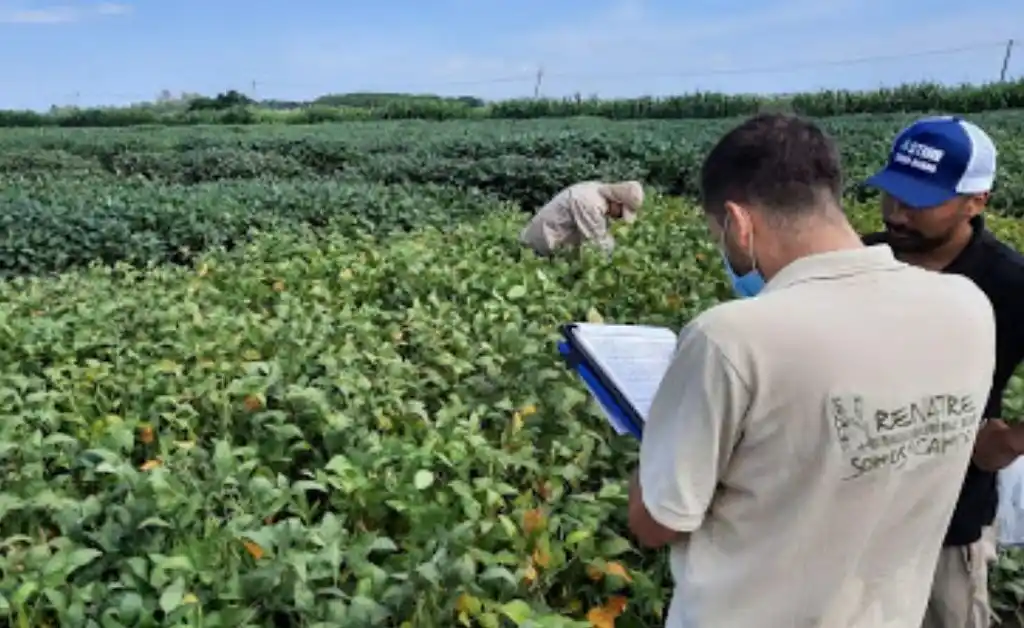 Rescatan a peón rural por trata laboral y trabajo esclavo en el sur santafesino