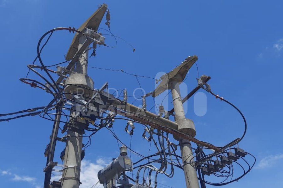 Una paloma habría dejado sin luz a dos barrios del Sur de la ciudad: ¿qué pasó?