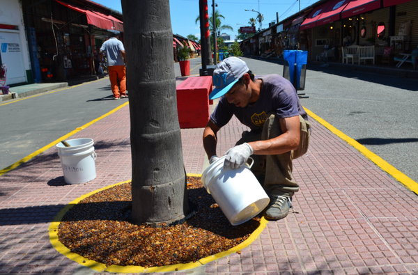 Tigre: Refacciones integrales en el Puerto de Frutos