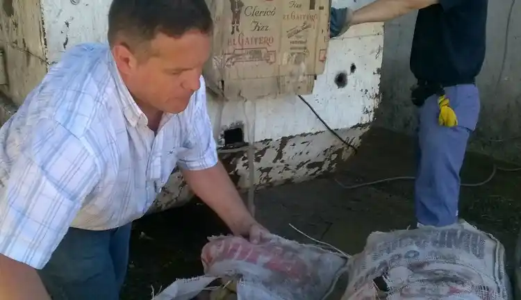 Decomisaron 525 kilos de papa por falta de higiene