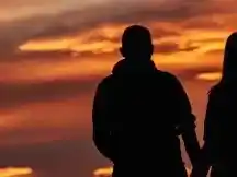 Amores universales