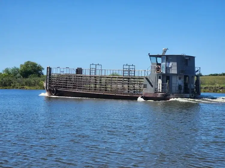 Productores retiran hacienda de las islas entrerrianas ante una posible crecida del río Paraná